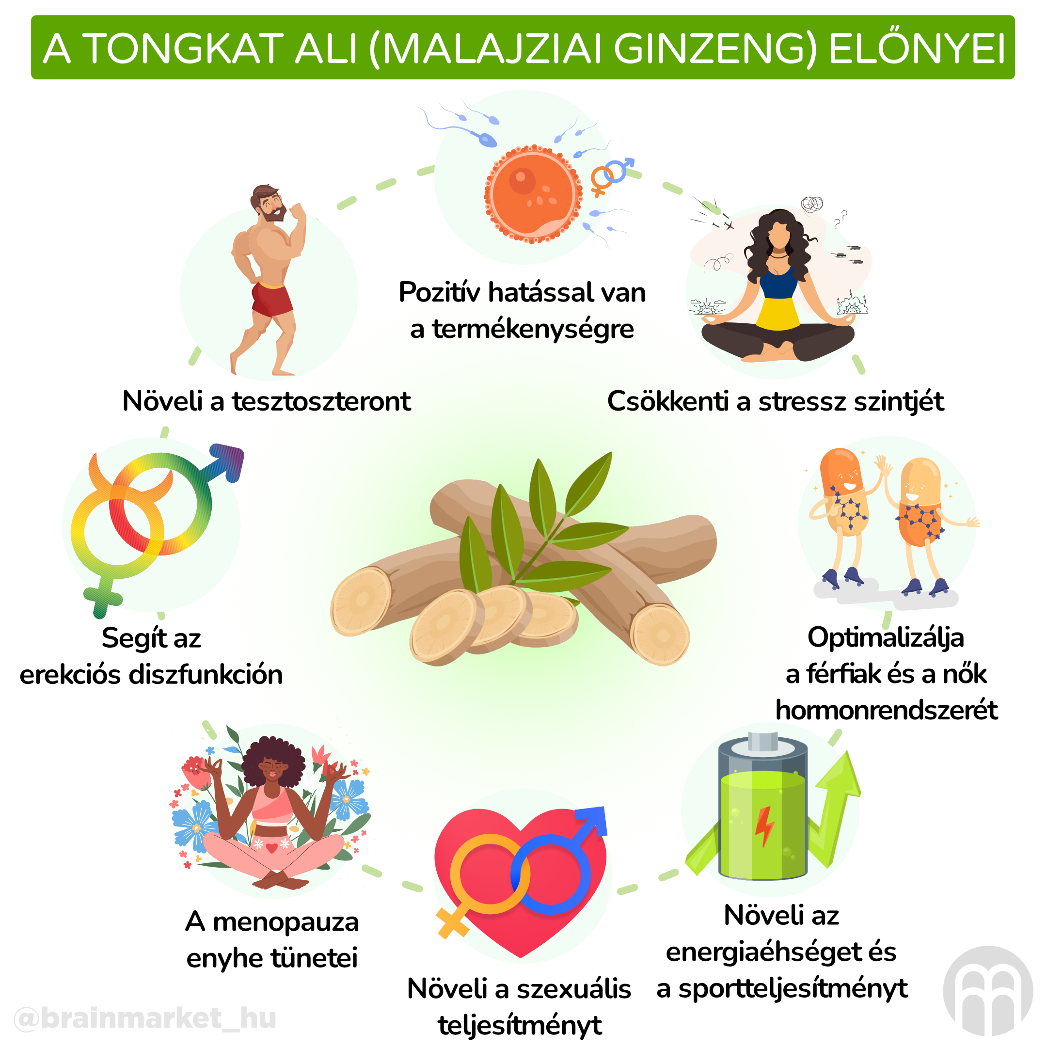 Výhody Tonkgat ali (malajského ženšenu)_infografika_hu